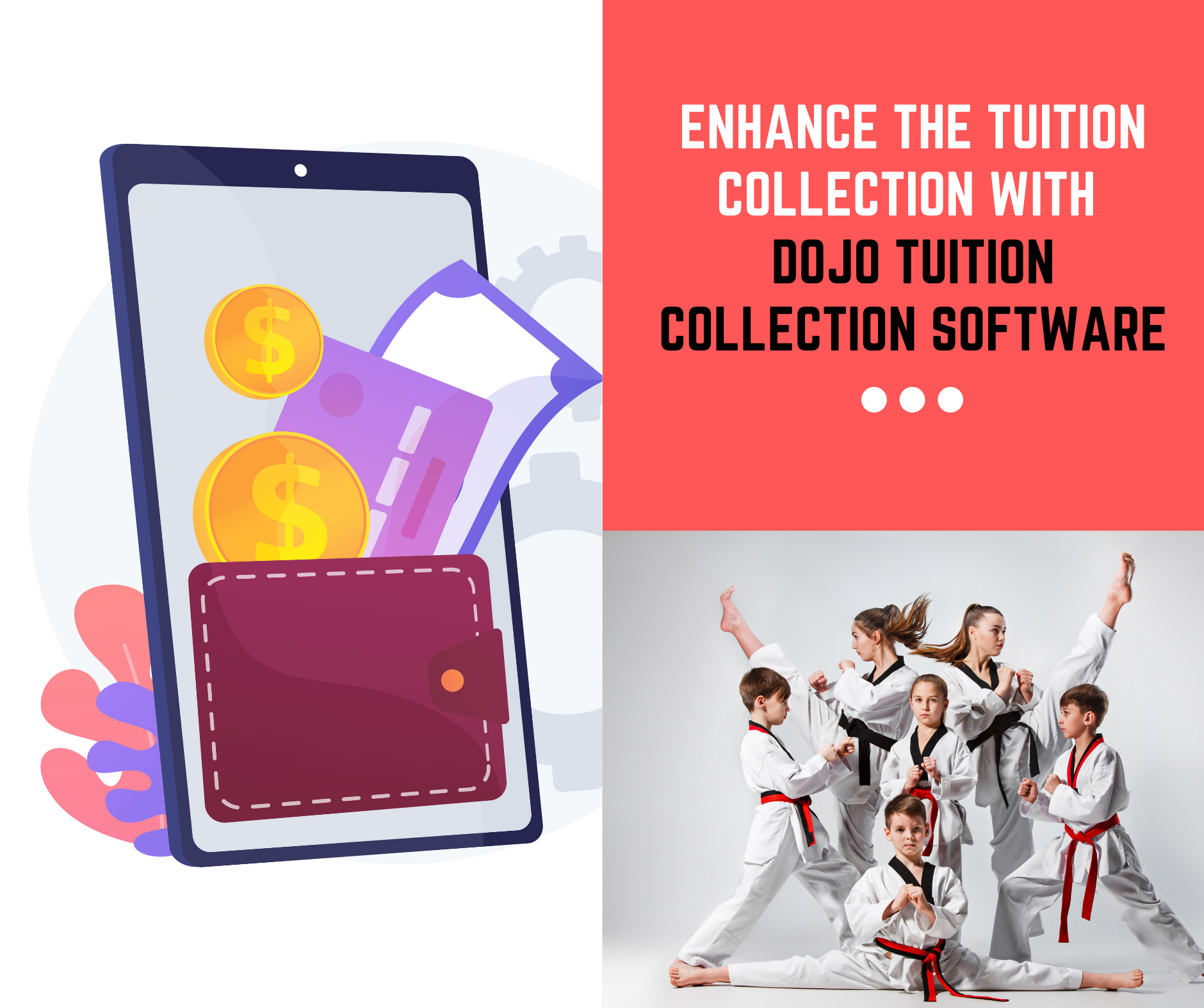 Dojo Tuition Collection Software